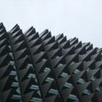 20090704_singapore_bintan_411